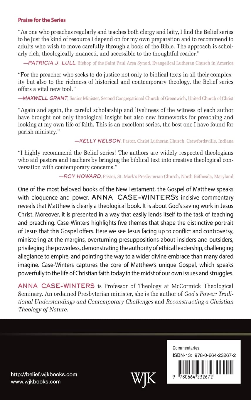 Matthew: A Theological Commentary on the Bible - Image 2