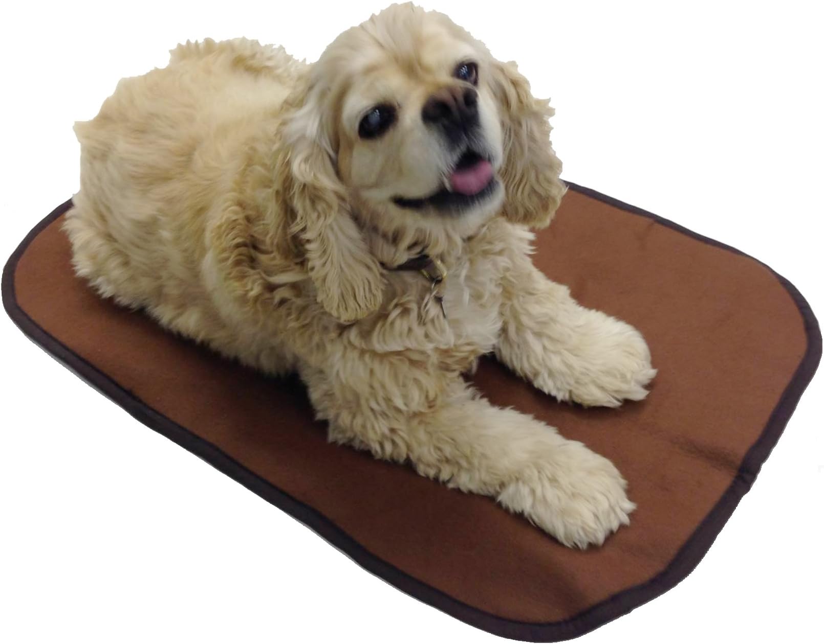 Achy Paws Coppe X-Large