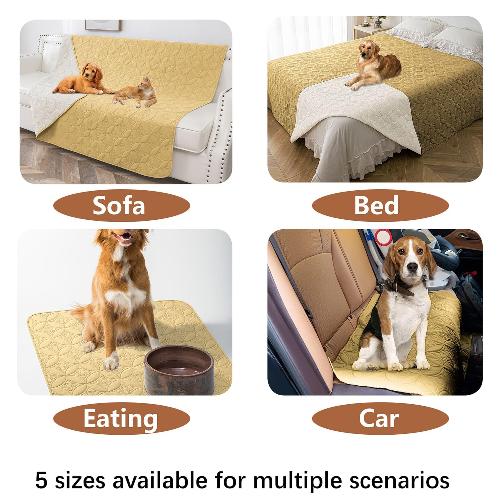 Perro Orina Como Hacer Que Un Perro No Se Suba A La Cama Repelente