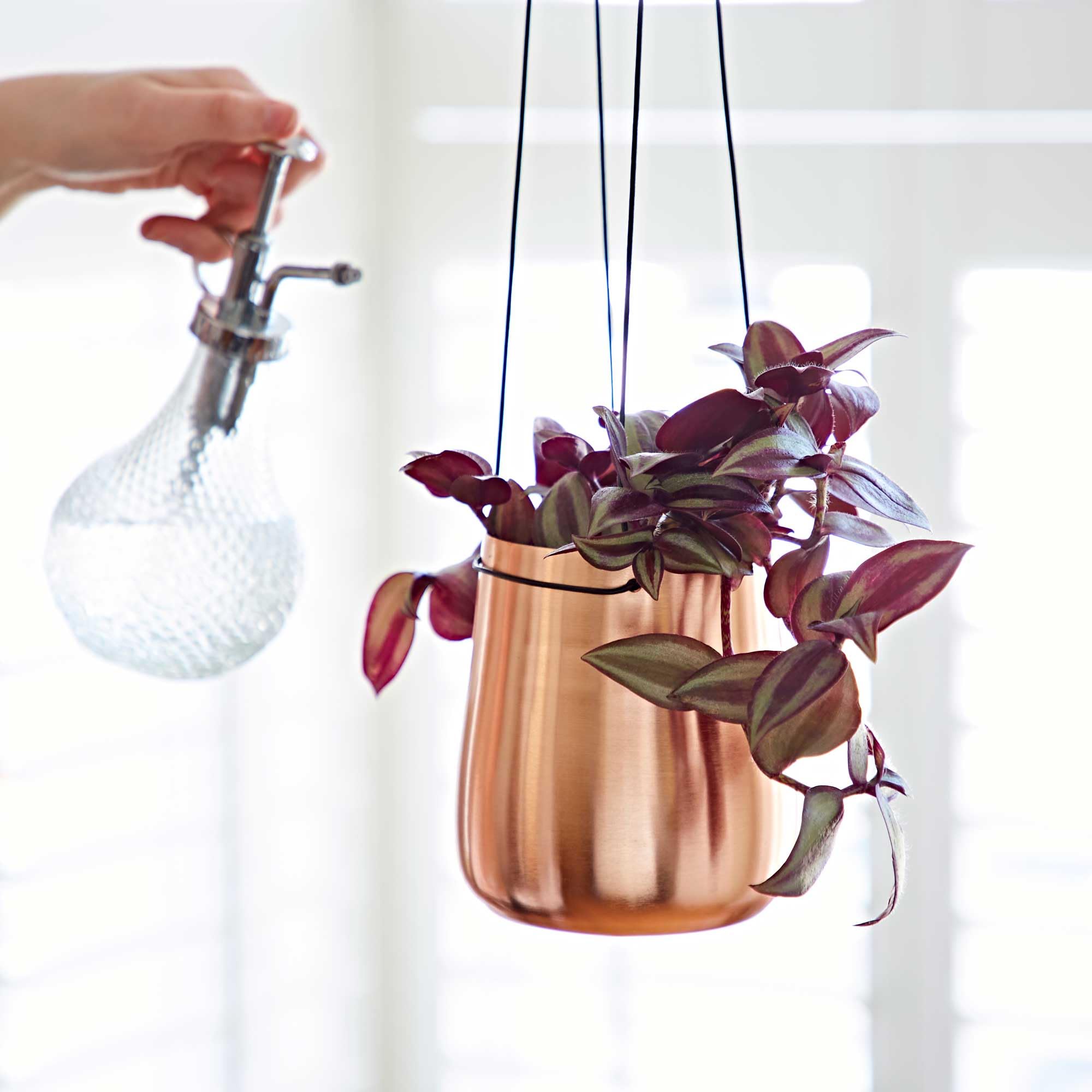 Paper High Copper Iron Hanging Planter - Plated - Indoor Decorative Pots - Hanging Plant Pot - Balcony Décor - Adjustable Strap - Hanging Décor (Small)