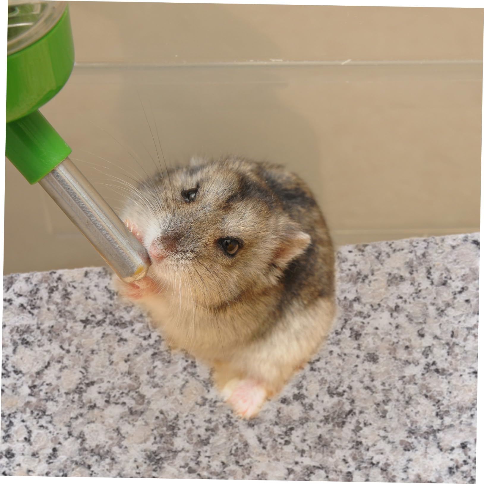 BESTonZON Sommer Kühlbrett für Haustiere Mittelgroßes Marmor Kühlstein Nager Hamster Kaninchen Chinchilla Kleintier Zubehör Hitzeschutz Erfrischungsplatte