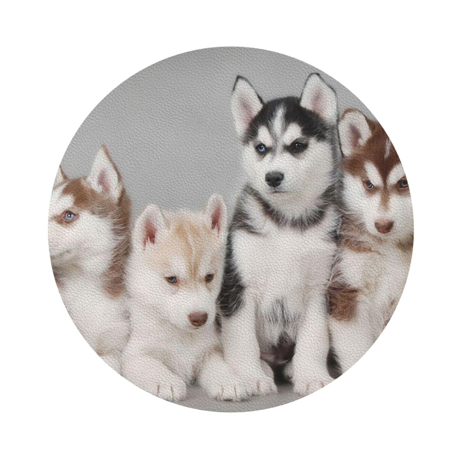 Lovely dogs PU Leather Coasters Set of 6 Round Drink Coasters
