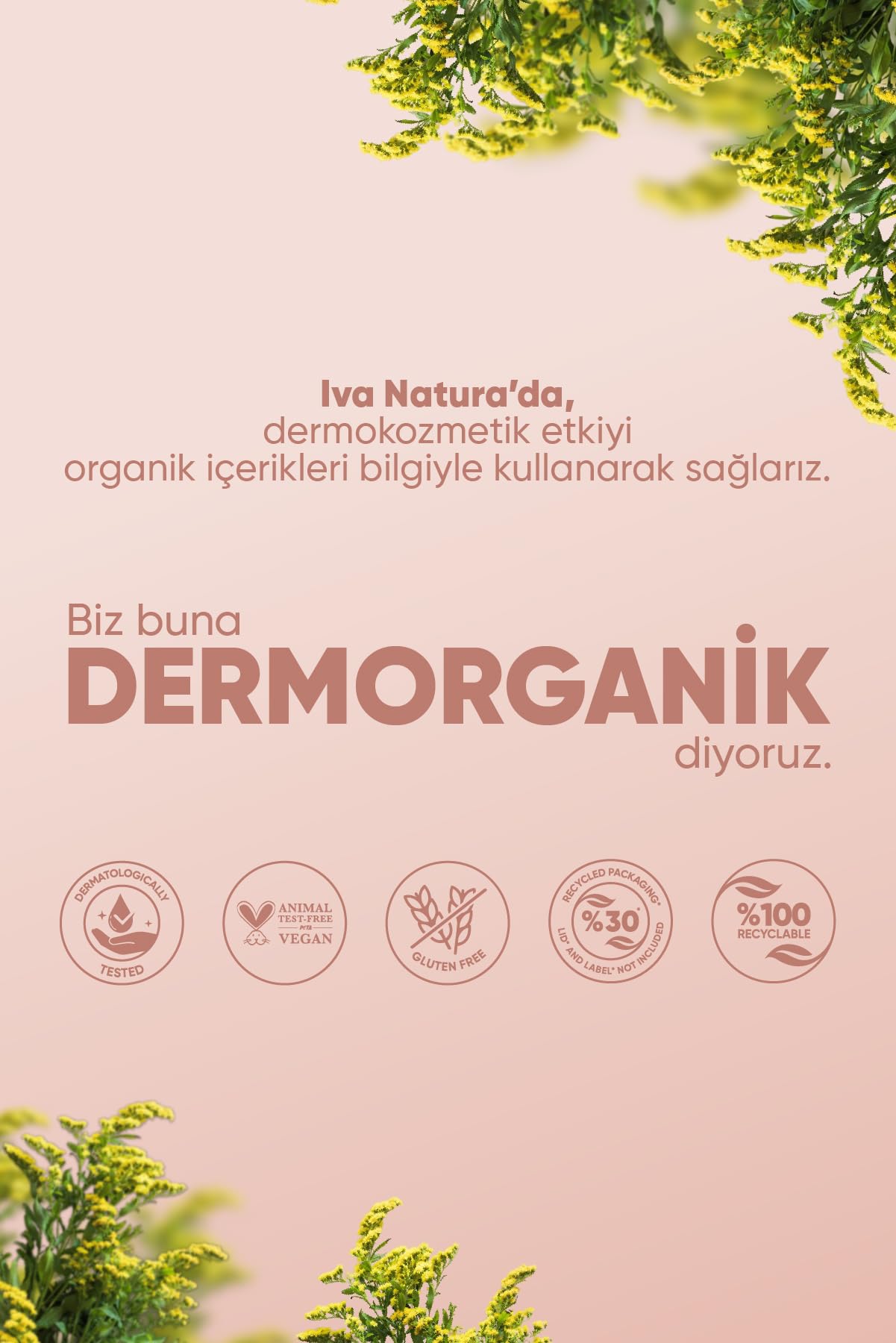 IVA NATURA Organik Yoğun Onarım Ayak Bakım Kremi Kantaron Özlü, Nemlendirici ve Yenileyici, Gluten ve Parabensiz, 125 M