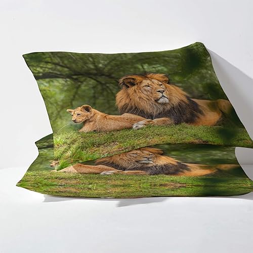 Miniatura 3 de Juego de sábanas de 3 piezas con estampado de animales y vida silvestre, tamaño individual, sábanas y fundas de almohada de microfibra suave con