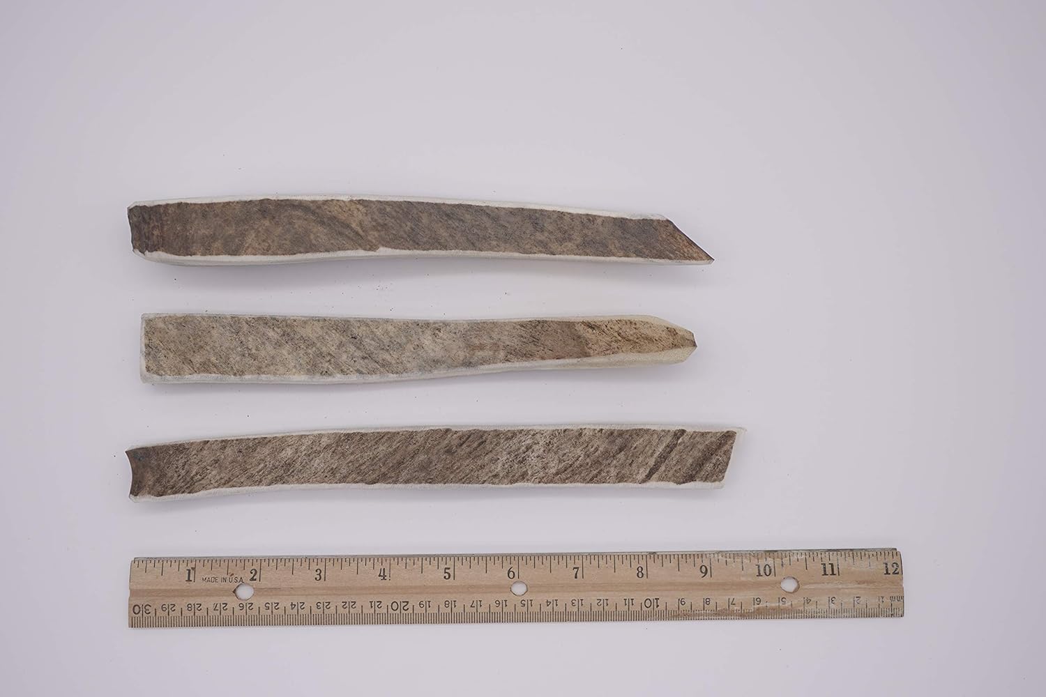 Medium Moose Munchers 3 Pack - Moose Antler Dog Chew - Grade A Premium - Organic - Made in USA - No Mess