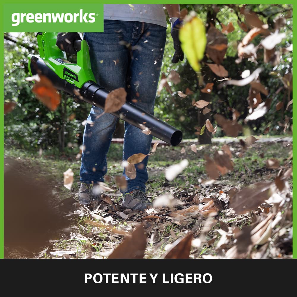 Greenworks G40ABK2 Soplador de Hojas a Batería Axial, con Control de Crucero, 177 km/h, 11,05 m³/min, Batería de 40V 2Ah y Cargador, Garantía de 3 Años