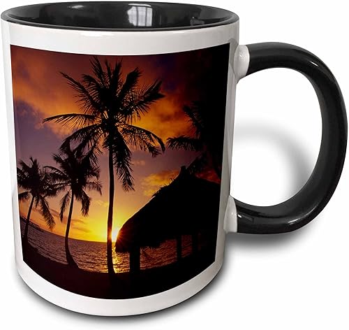 3dRose mug_89088_4 "Checca Lodge, Islamorada, Florida - US10 DPB0052 - Douglas Peebles" Taza de dos tonos, negroblanco, 11 onzas