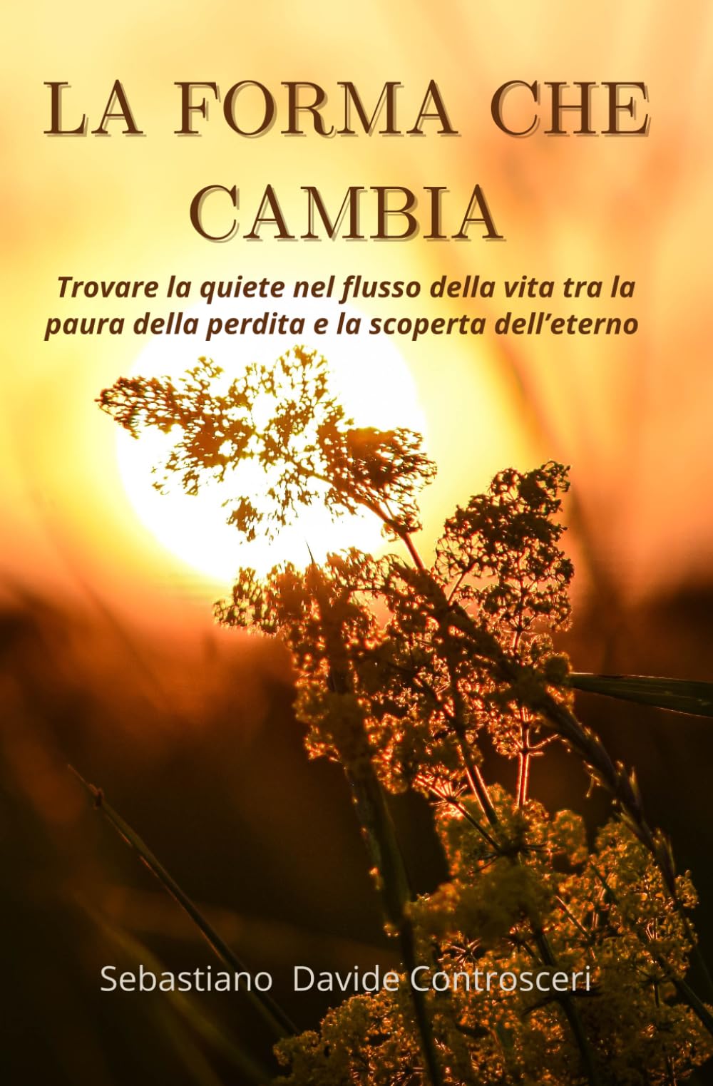 La Forma che cambia: Trovare la quiete nel flusso della vita, tra la paura della perdita e la scoperta dell'eterno