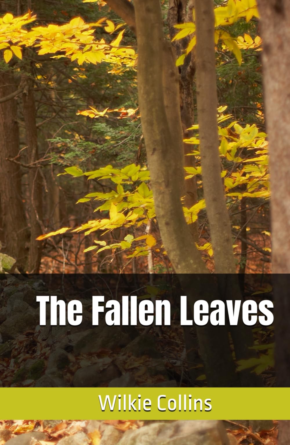 The Fallen Leaves: A Tale of Redemption, Society, and Moral Struggles