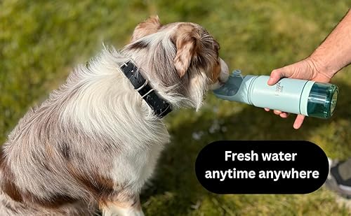 Miniatura 2 de Botella de agua de viaje para perros de acero inoxidable, dispensador de agua portátil aislado al vacío, taza de bebida y recipiente para aperitivos