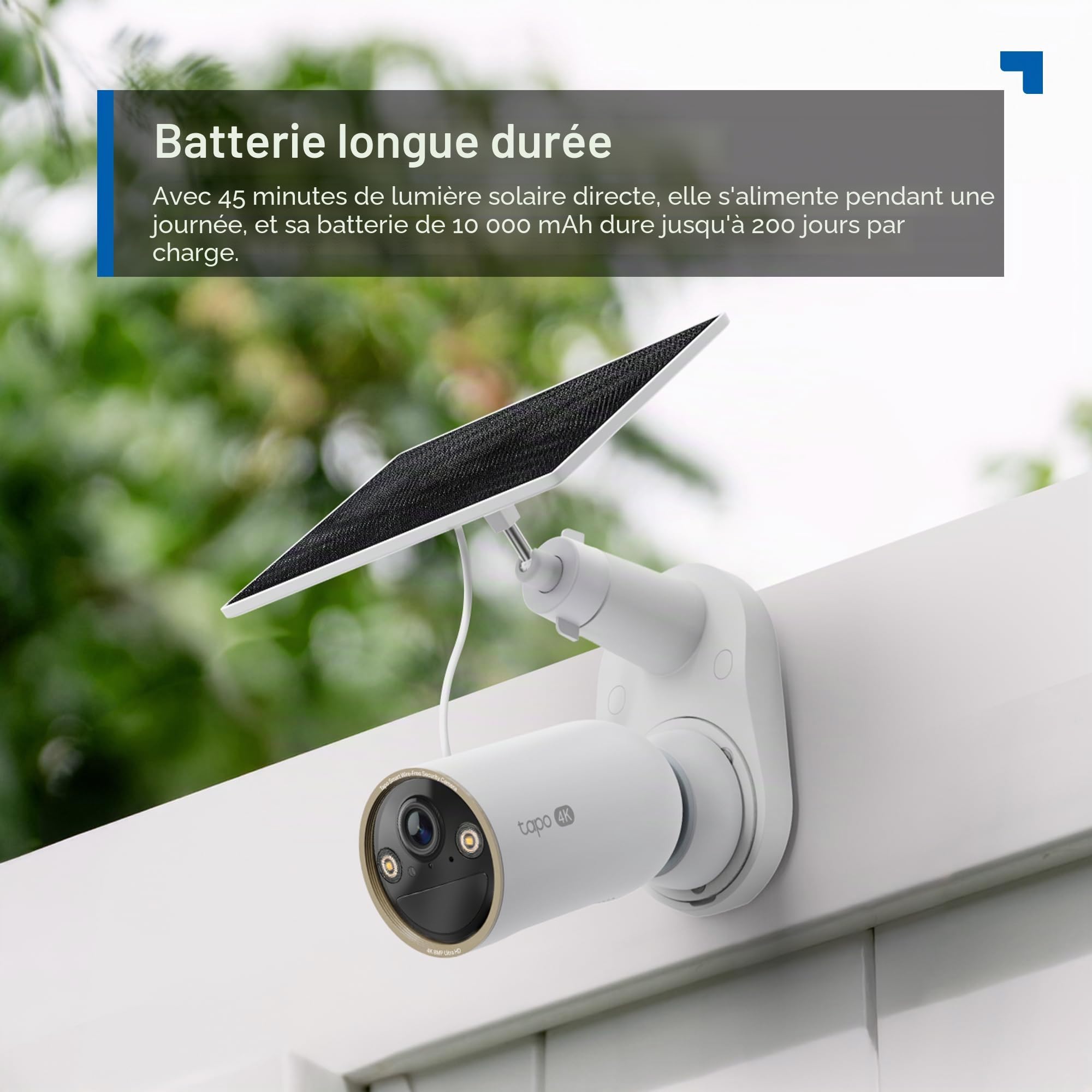 Tapo 4K Camera Exterieur sans Fil Solaire Vision Nocturne Couleur+,C460 KIT | Caméra Autonome,Detection humaine,WiFi bi-bande,Mode AOV 24/7,MicroSD 512Go/Cloud,Notification Intelligente,IP66