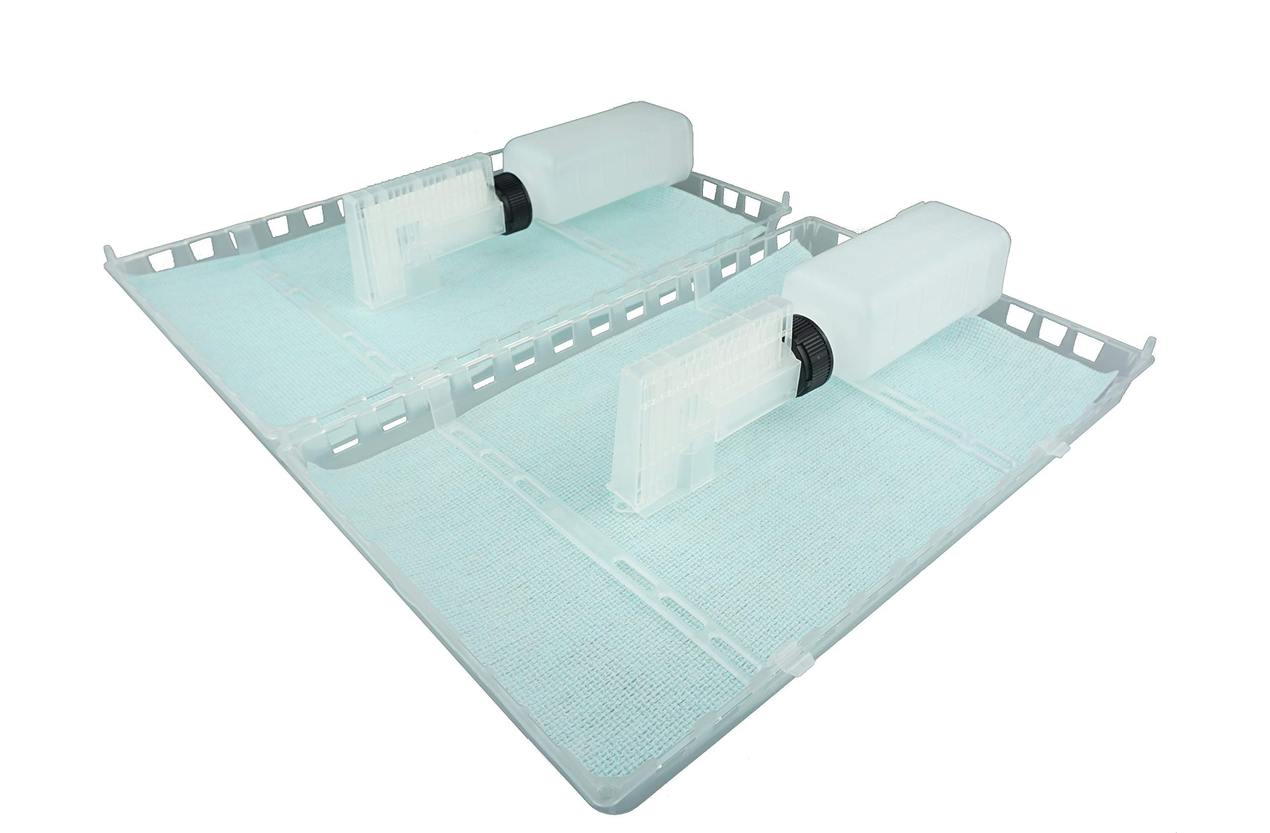 APIFORMES Set: Verdunster Professional Doppelpack von NASSENHEIDER und Dosierspritze - Varroa Milbe - Varroabehandlung - Ameisensäure-Behandlung 60% - Bienen - Imkereibedarf