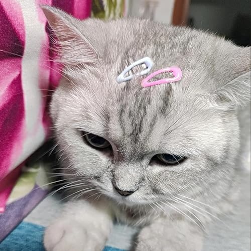 Miniatura 4 de BENSEAO Pinzas para el pelo de perro, horquilla para mascotas, accesorios para el pelo para perros, gatos, cachorros, niñas, 30 pinzas para el