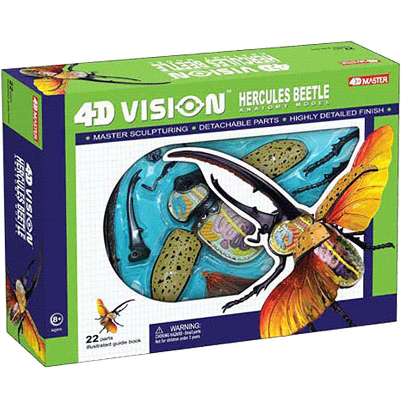 Generisch 4D Vision Käfer Anatomiemodell, 22 entfernbare Insekten Anatomie Modell Biologie Lehrmodelle Insekten Organ Modell Puzzle Montage für das Lehrstudium