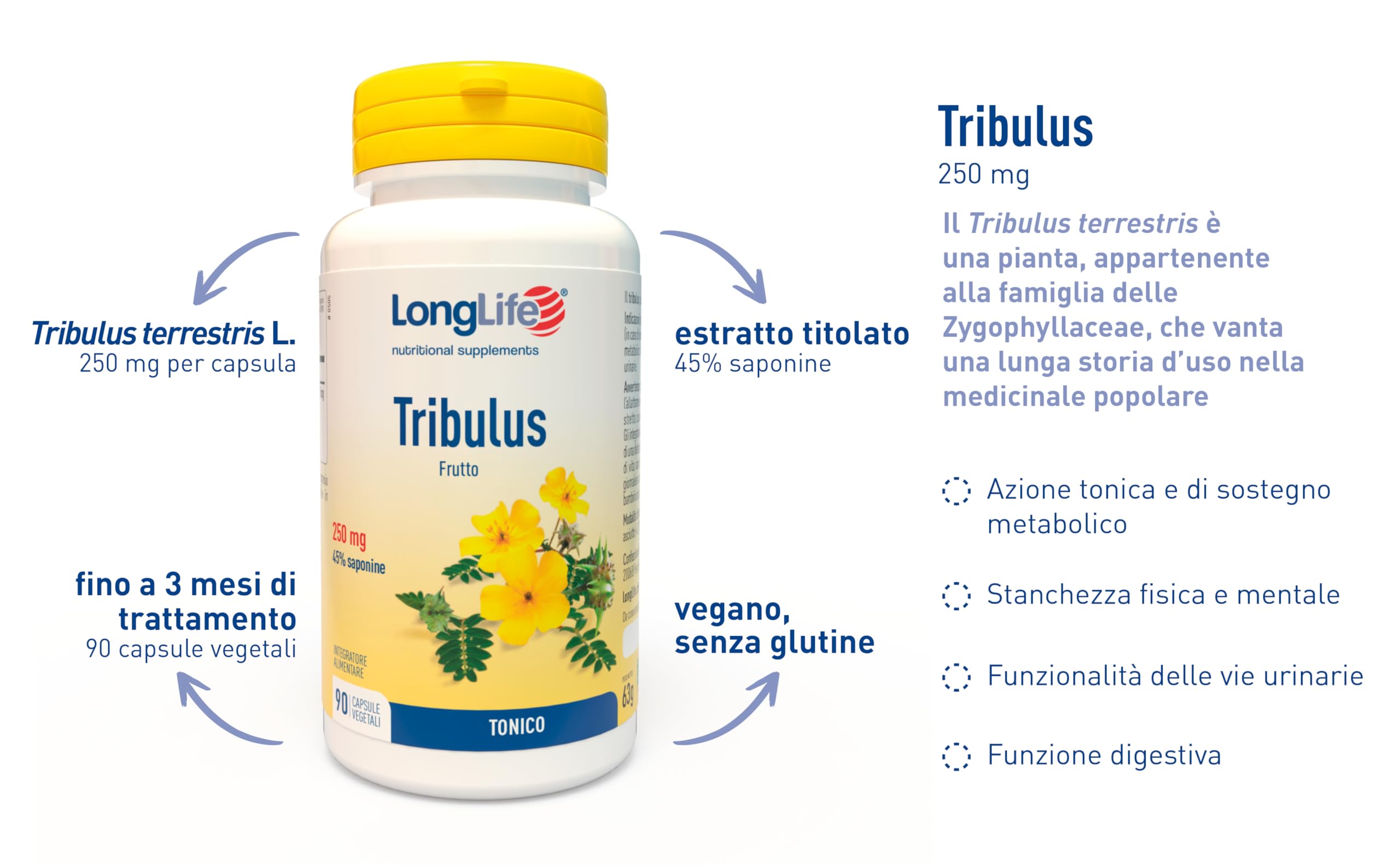 LongLife® Tribulus | Estratto titolato al 45% in saponine | Azione tonica e sostegno metabolico | Vie urinarie e funzione digestiva | Fino a 3 mesi di trattamento | Vegano e senza glutine
