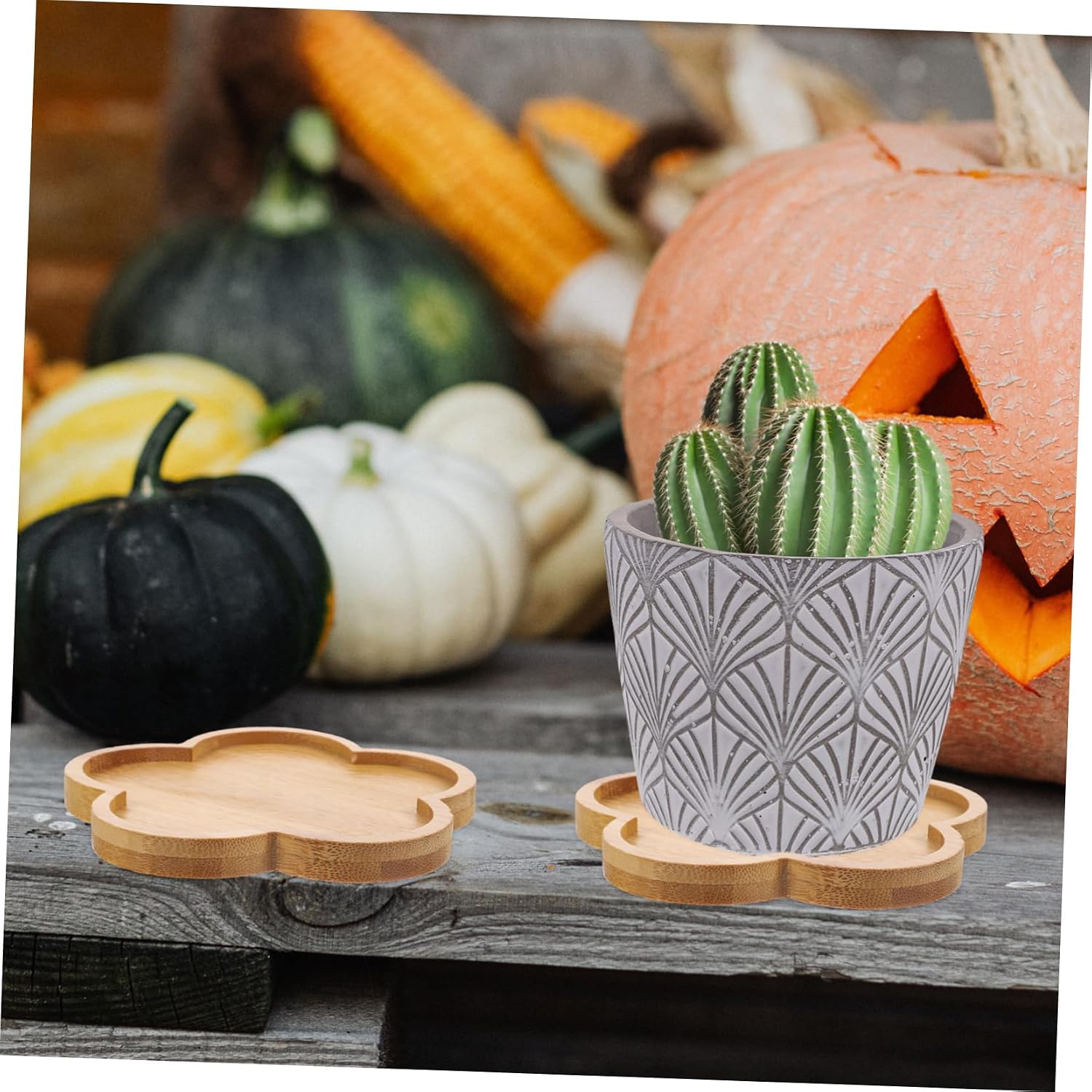 4pcs Sturdy Bamboo Plant Saucers Plant Pot Trays Flower Pot Trays Water for Flower Saucers House