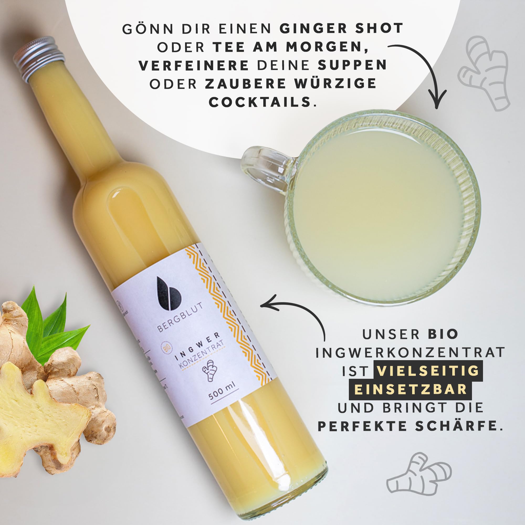 Bergblut Bio Ingwer Konzentrat – 500 ml Ingwerkonzentrat ohne Stücke mit Bio Zitronen & Limettensaft | Geeignet als scharfe Würze, Limonade & Ingwer Shot | Vegan & ohne Zucker oder Zusätze