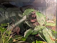 Review Image by Caitlin Gunster Caitlin Gunster