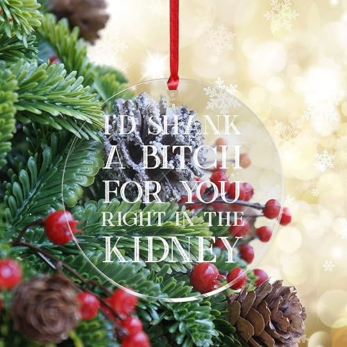 Miniatura 7 de Divertido adorno de acrílico redondo de Navidad recuerdo con cita motivacional Id Shank a Bitch for You Right in The Kidney Scripture versículos de