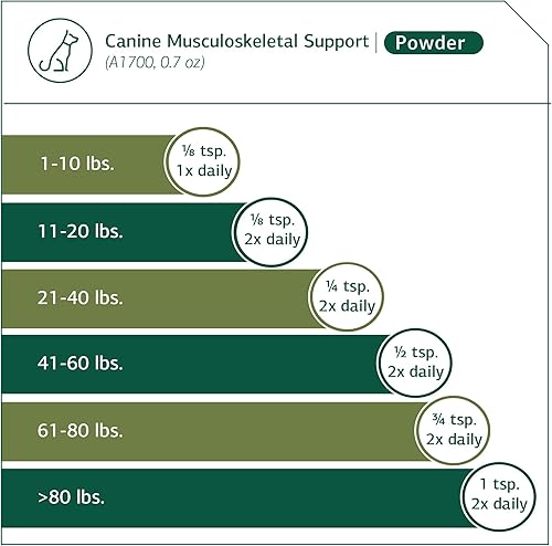Miniatura 4 de Proceso estándar - Soporte musculoesquelético canino - 4.2 oz