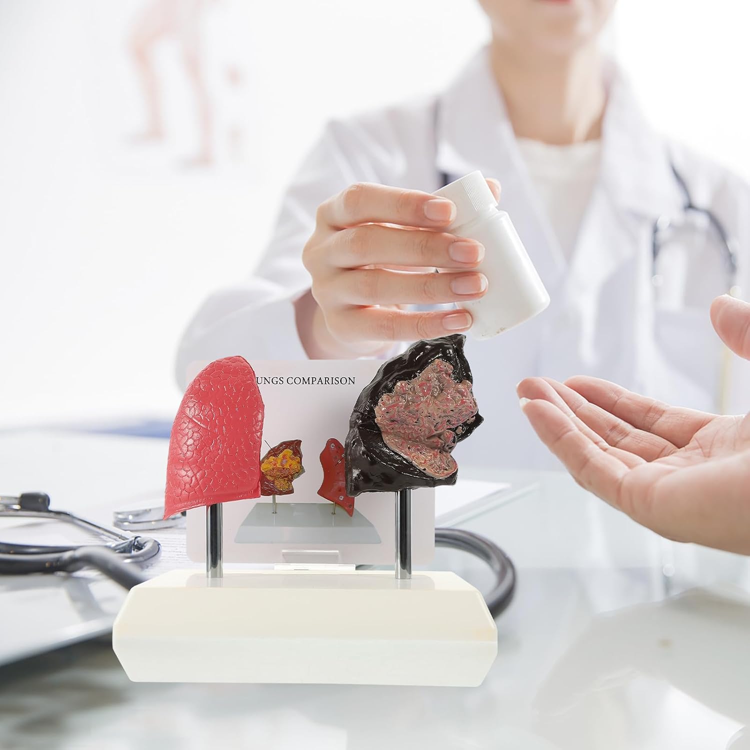 RUNROTOO Smoking Lung Model and Normal Lung Comparison Realistic PVC Anatomy Model for Medical Teaching and Health Education Palpable Texture