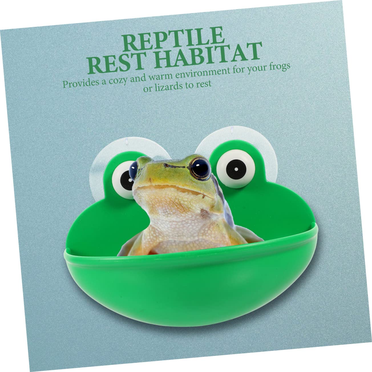 SUPVOX 6piezas Soporte De Ventosa para Reptiles De para Hábitat De Anfibios Descanso y para y Accesorios para Terrario