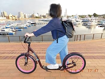 スカイスクーター☆新品♪sky scooter！キックボード＆キックスクーター！ Amazon.co.jp: スカイスクーター☆ sky scooter キックボード