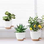 3 Pack Pots de plantes Intérieur 10/9/8 pouce Planters d'auto-arrosage pour les plantes Intérieures Pots à fleurs pour les végétaux Intérieurs avec trous de drainage et Saucer pour jardin intérieur extérieur (blanc)