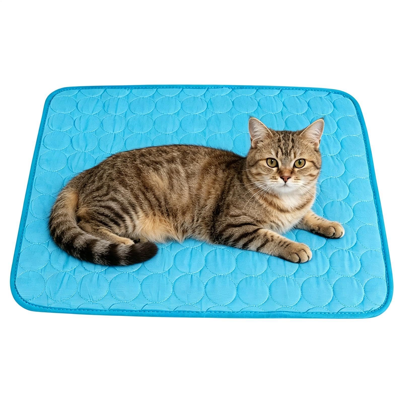 Tapis rafraîchissant pour chiens contre la chaleur en cage et auto