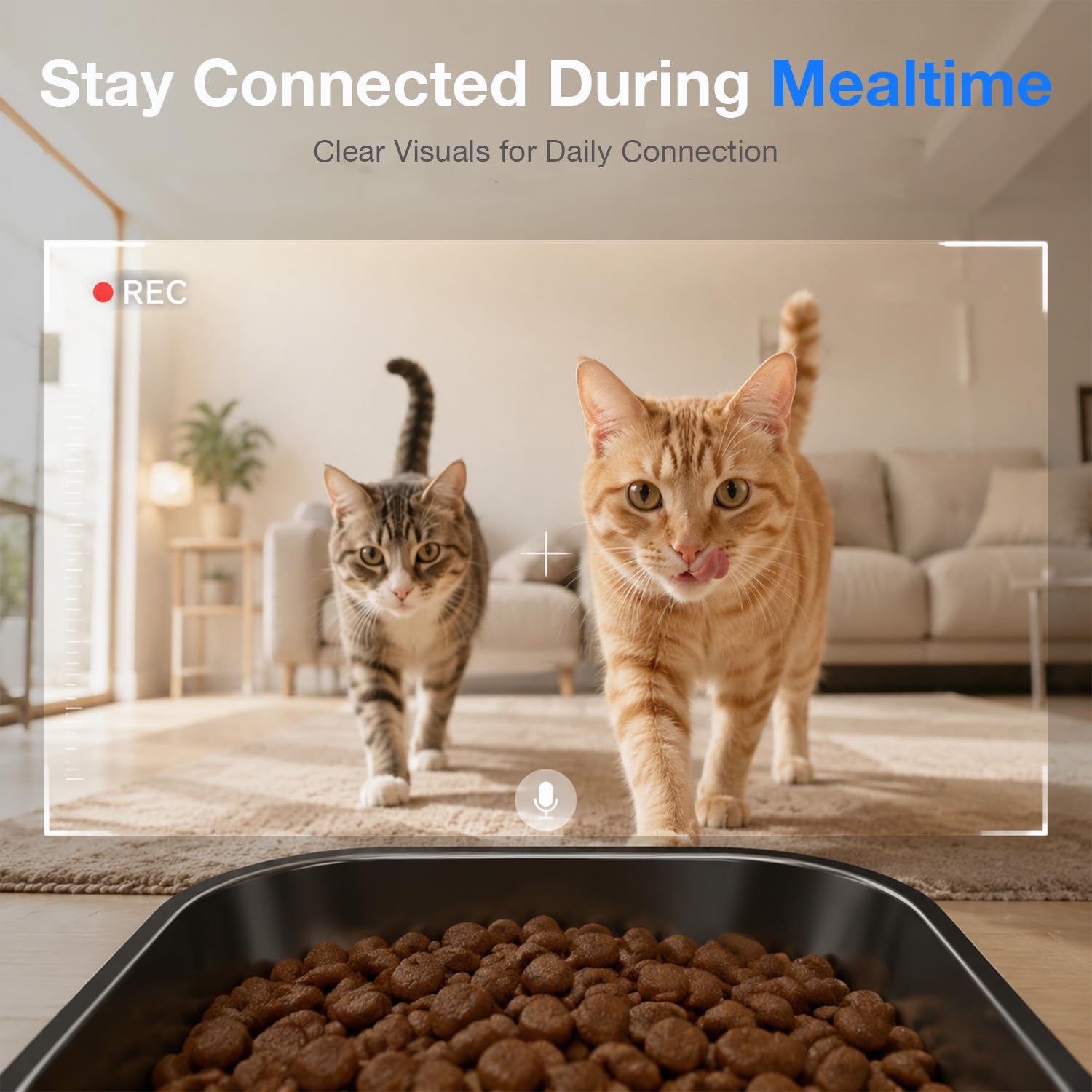 Distributore Automatico per Gatti con Telecamera 5L WiFi e App (Nero） | Videochiamata bidirezionale, audio a due vie, acquisizione AI, pasti programmati e visione notturna per cani e gatti