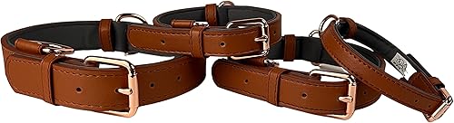 Miniatura 6 de My Bestie - Collar para mascotas de cuero acolchado de oro rosa suave para perros duradero calidad elegante collar para perro XS S M L