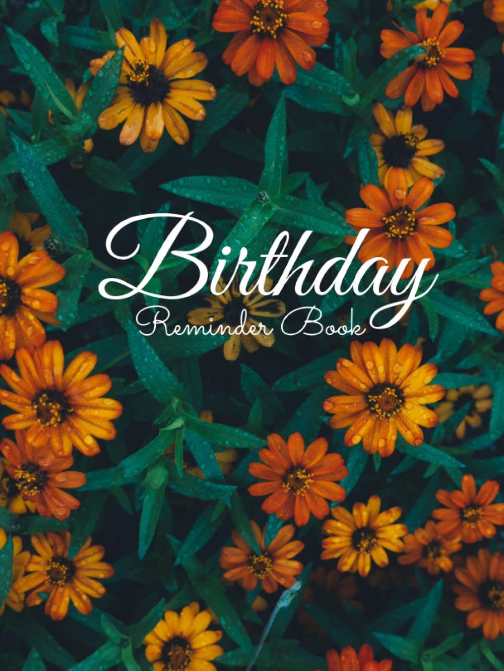Birthday Reminder Book: Special Days To Remember, Special Date Reminder Book For Birthdays and Anniversaries Perpetual Calendar Date Keeper Birthday, Hardcover birthday reminder book