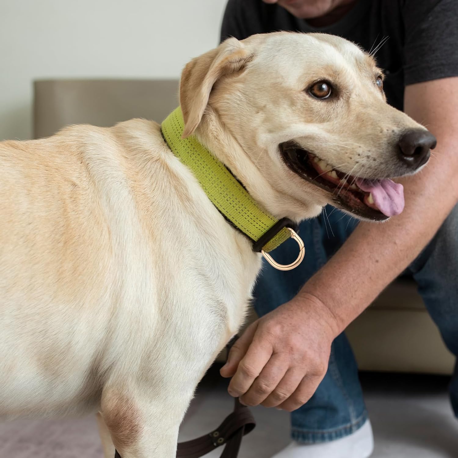 4 Pcs Gold D Ring, Gold Metal Keyring Clip D Ring Clip 1.1 Inch Spring Rings Buckles Clasp for Belt Backpacks Handbag Purse Strap - Image 5