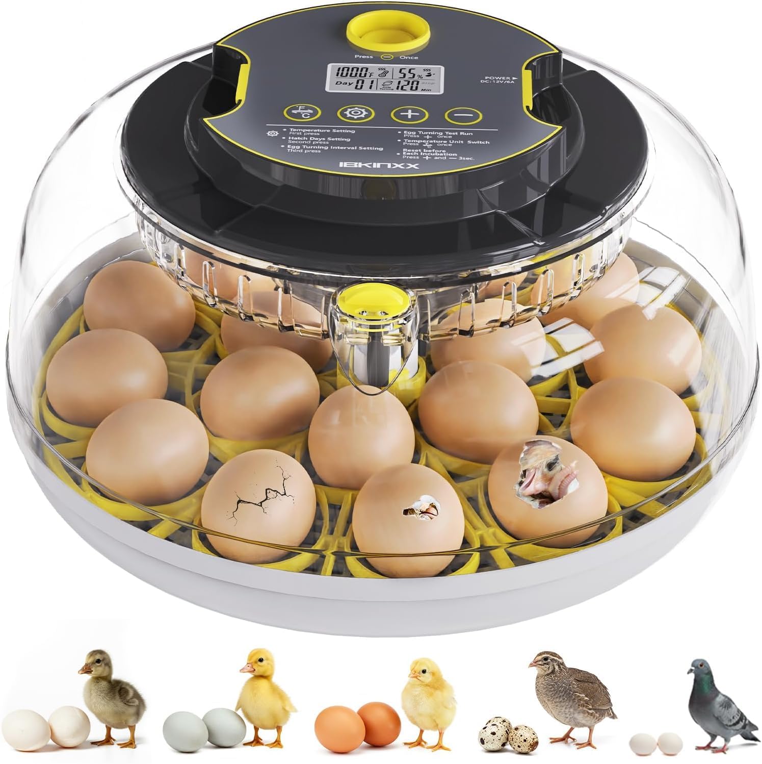 Incubator for Hatching Eggs-18 Egg Capacity