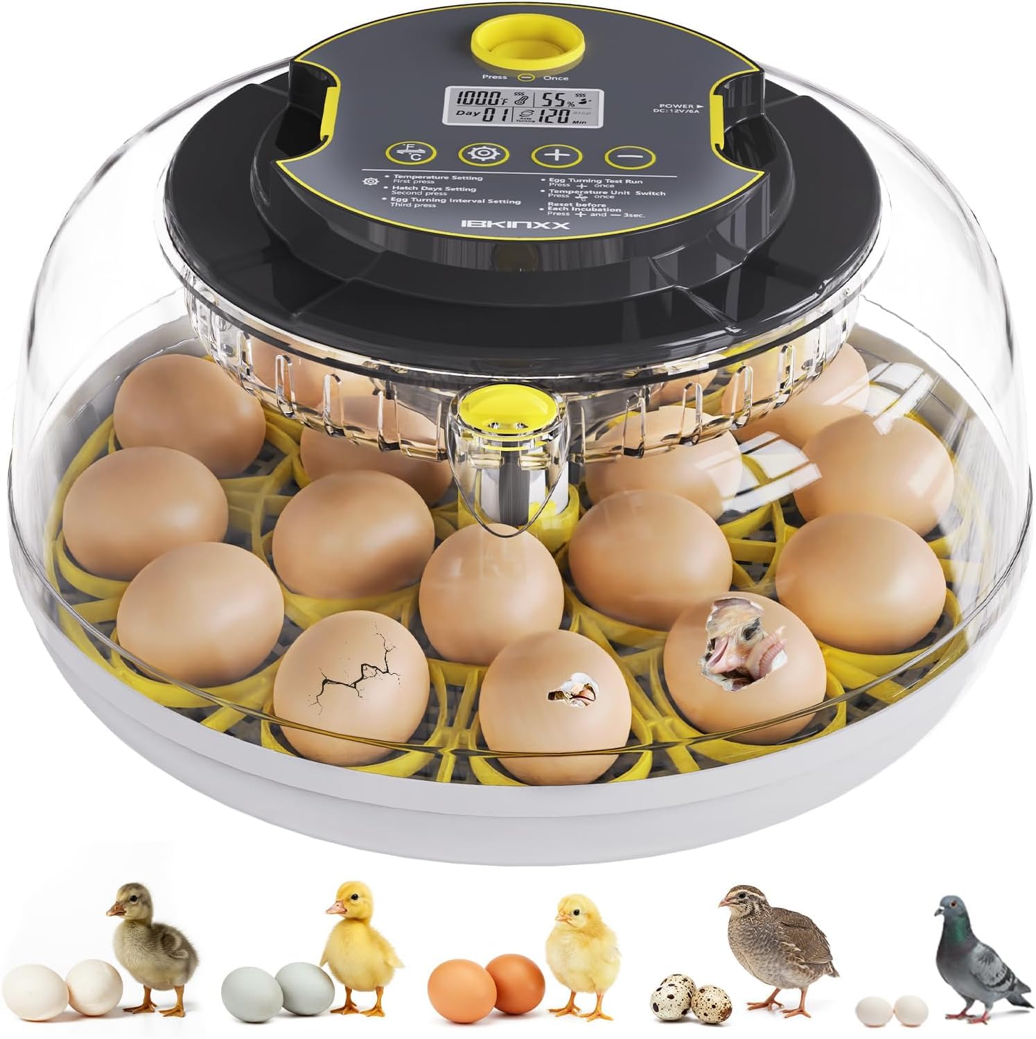 IBKINXX Incubator for Hatching Eggs-18 Egg Capacity, Automatic Egg