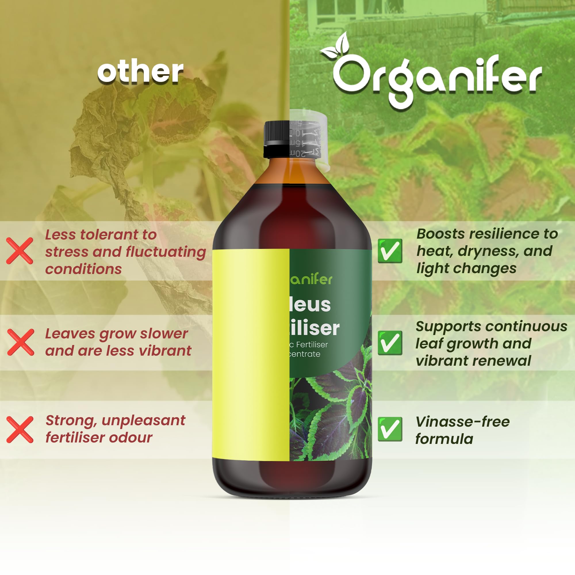 Fertilizante Líquido - 5x1L - Para Coleus - NPK 3-4-3 | Plantas Fuertes Y Vitalidad Óptima - Organifer