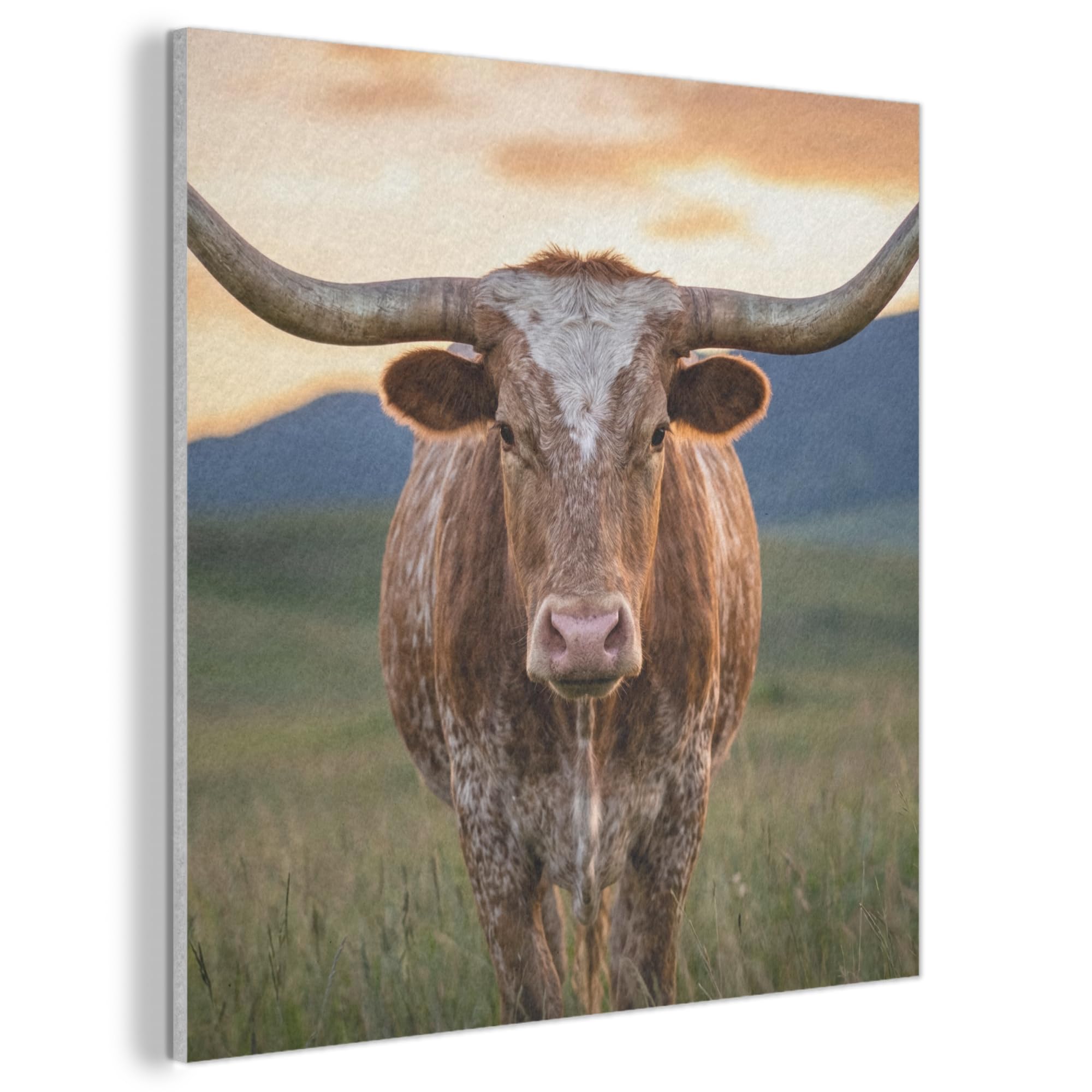 MuchoWow© Felt Panel 50x50 cm Room Style Piece Wallfillers Visual Display Decoration Wall Art Longhorn - Landscape - Sunset