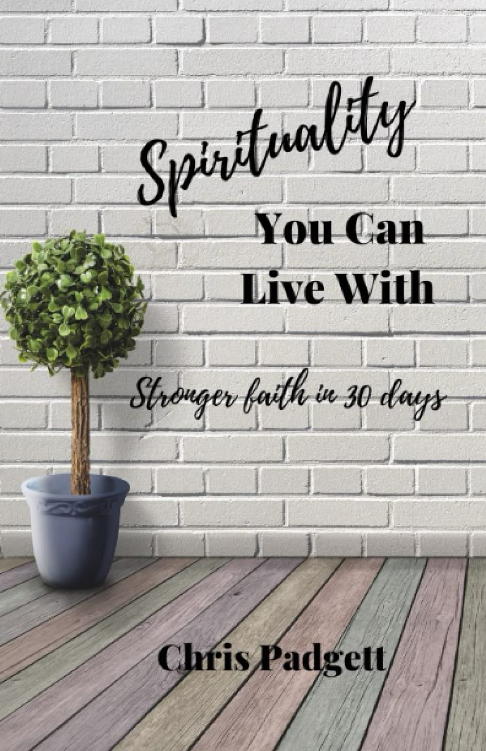 Spirituality You Can Live With: Stronger Faith in 30 Days