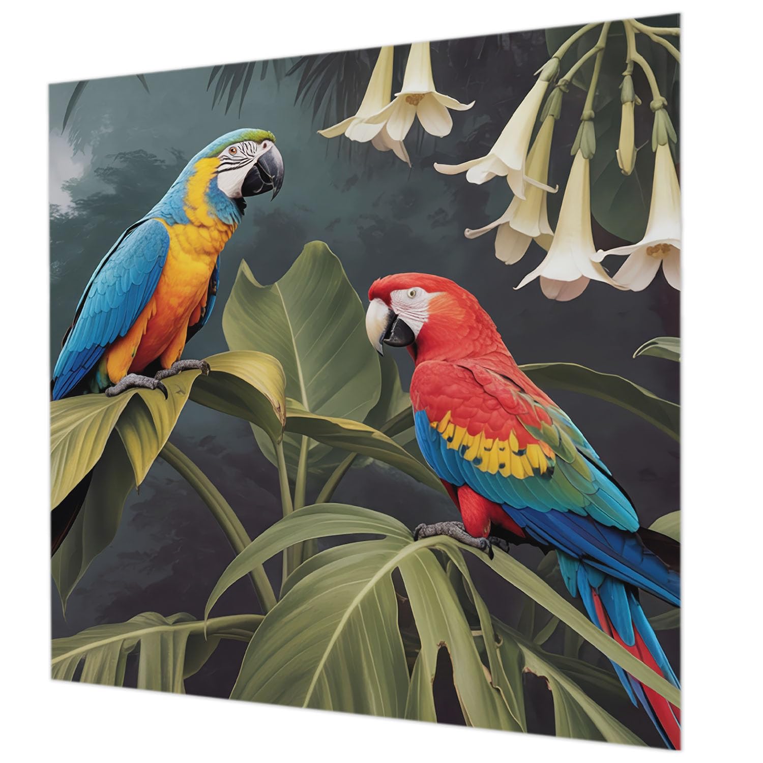 Papier peint intissé 250x250 cm perroquets colorés grand format mural salon et chambre
