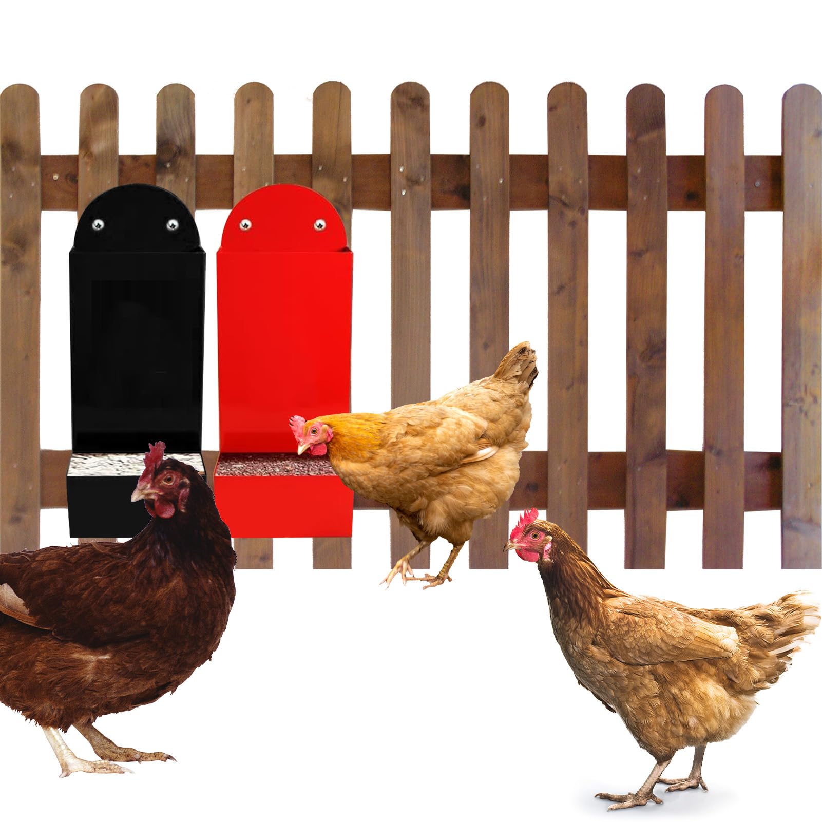 Hühner-Austernschalen-Futterspender, automatischer Geflügel-Futterspender für Hühnerstall-Zubehör