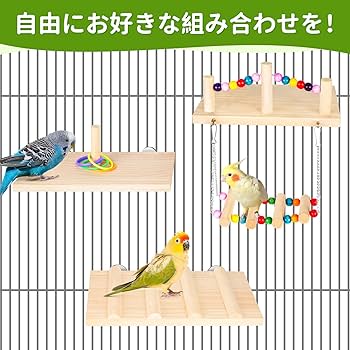 止まり木 CoCo 楽天市場】インコ セキセイインコ コザクラインコ 文鳥 小鳥