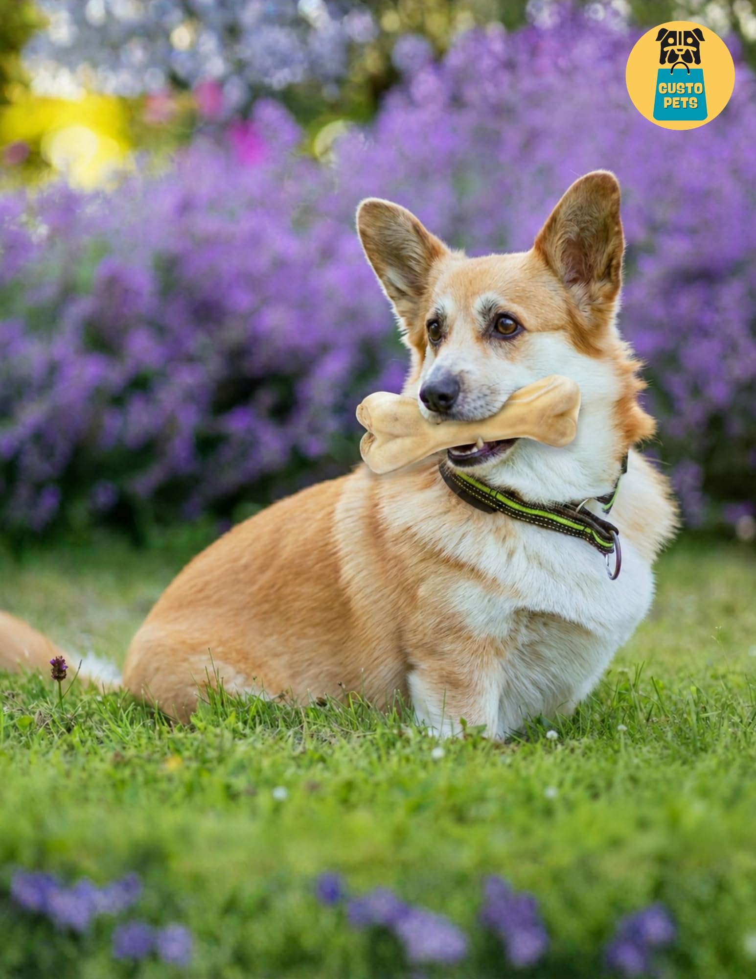 5 pièces Os pour chien 17 cm en cuir de vache - Teether naturel avec rumen, soutient des dents propres et des gencives saines, Sans conservateur, Fabriqué dans l'UE