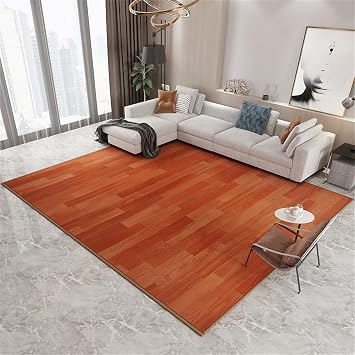 Heated Floor Carpet, Graphene Electric Heated Area Rug with Timer Fast Heating,Floor Heating Mat,Infrared Radiant Floor Heater,for Living Room Bedroom Office,B,50 * 80cm