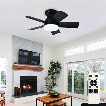 Ceiling fans with lights and Remote 25 Inch Ceiling Fan with Light Low Profile - Flush Mount Ceiling Fan 5 Blades Reversible 3CCT Dimmable Noiseless for Bedroom Black