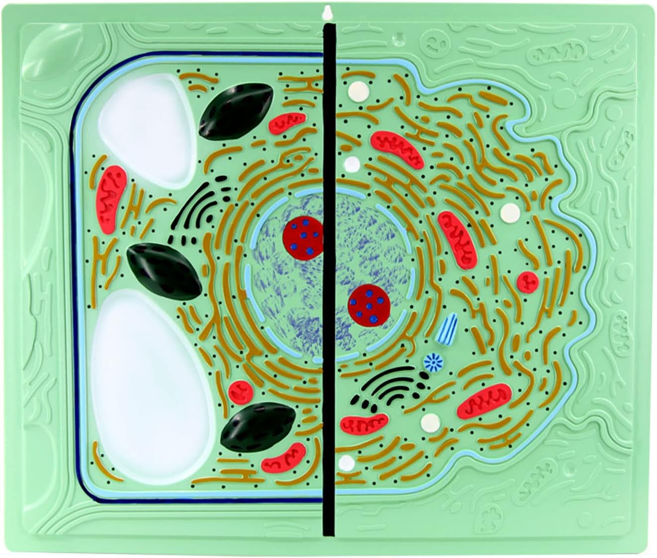 Felix the cat 爪切り当時もの即購入OK元SMAP中居正広さん専用 Felix