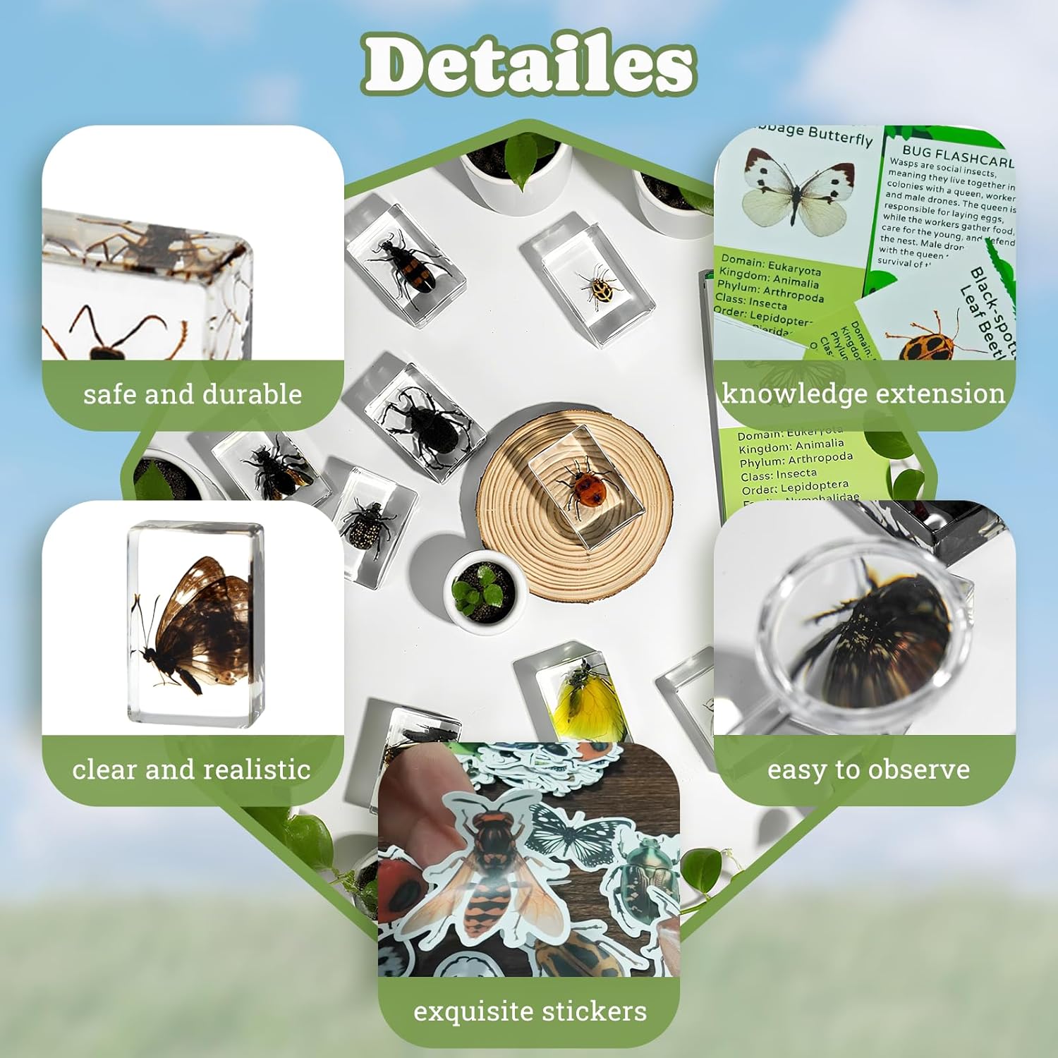 Insect in Resin Specimen, 12 PCS Scientific Educational Bugs Collection, Science Classroom Preschool Display, Real Specimens of Butterflies Beetles Preserved, Stickers, Oddities(Total 61pcs)