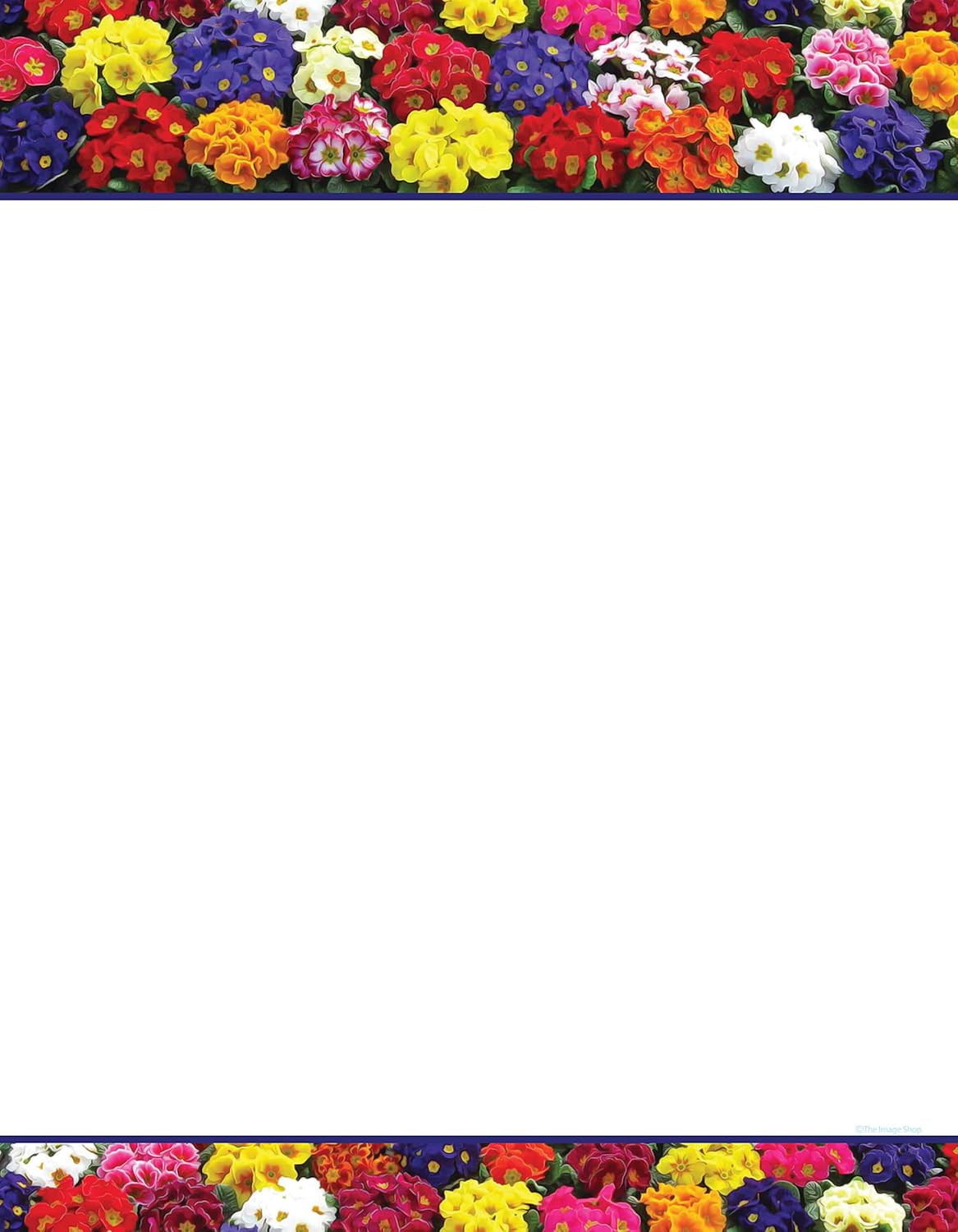 Primroses Letterhead Laser & Inkjet Printer Paper (100 Sheets)