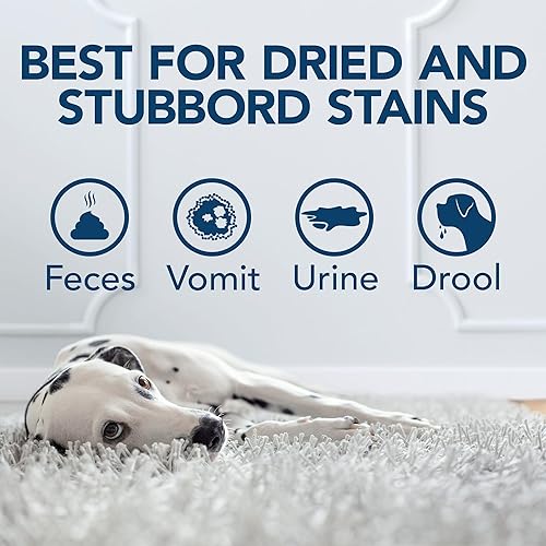 Miniatura 5 de Simple Solution Oxy Charged - Removedor de manchas y olores de mascotas | Elimina las manchas y olores de mascotas con 3 veces de potencia de