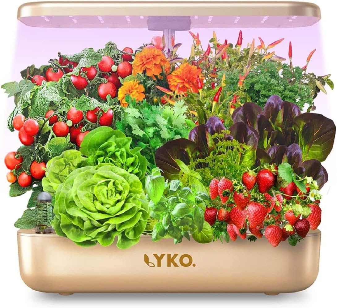 LYKO 12 Pods Hydroponics Growing System Kit, Indoor Garden w/Full-Spectrum 36W Grow Light, Indoor Herb Garden Automatic Timer, Height Adjustable 3.5L Water Tank, Gifts for Women (Gold)