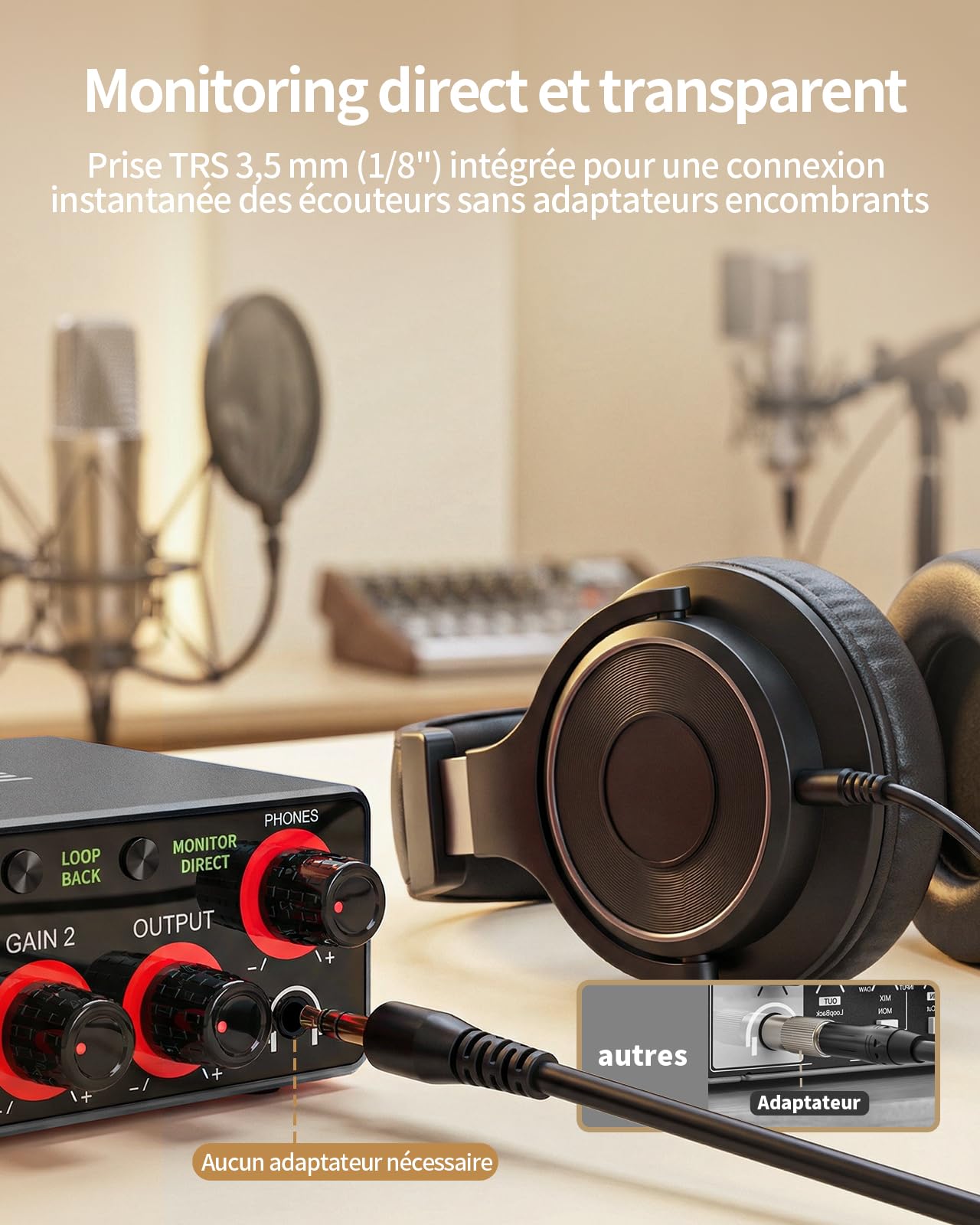 Interface Audio USB 2x2, 24 bits/192 kHz Carte Son Studio pour PC/Mac/iOS, Enregistrement, Podcast, Entrée XLR/TRS, 48V Phantom, Loopback, Monitoring Zéro Latence (Gris Alliage)